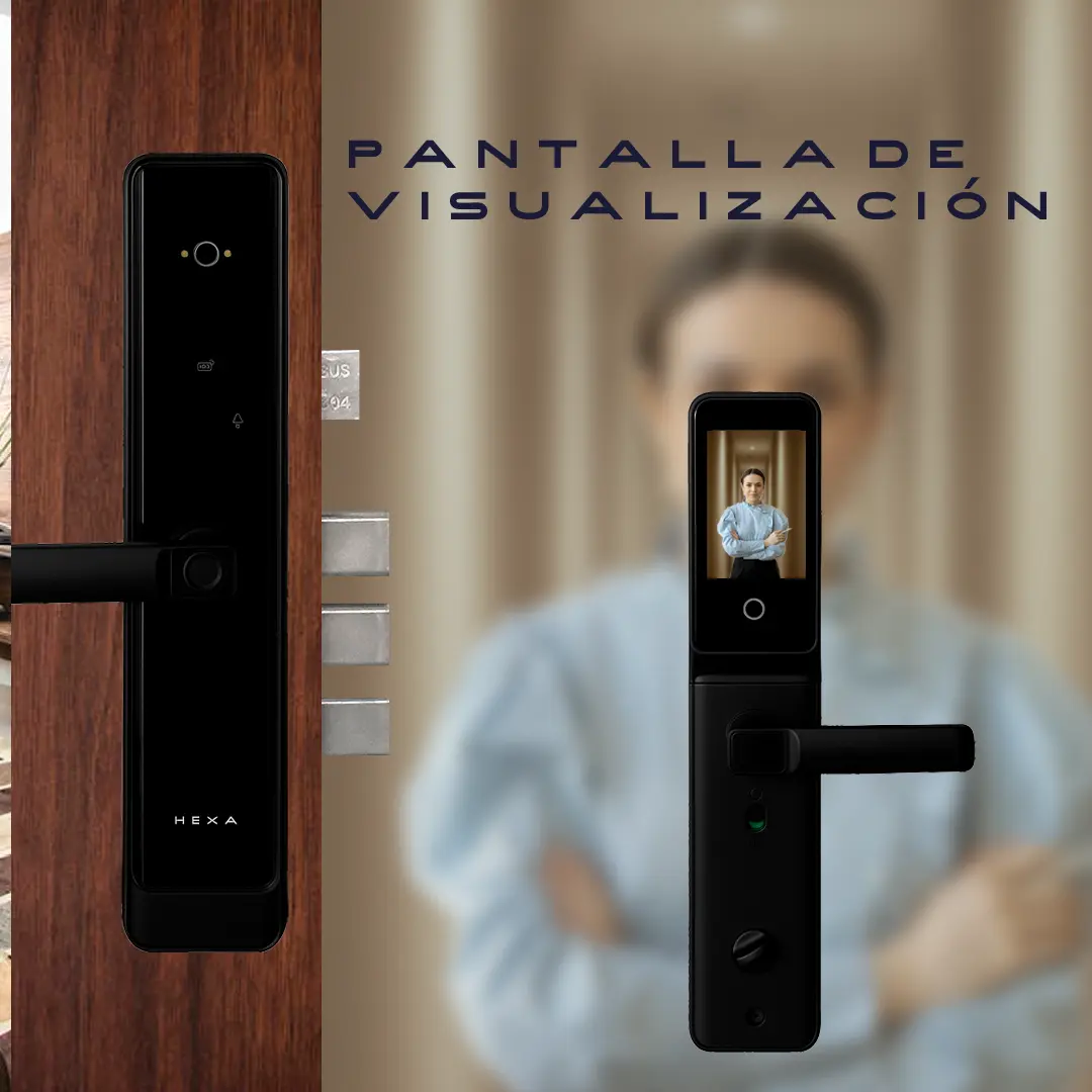 pantalla de visualización